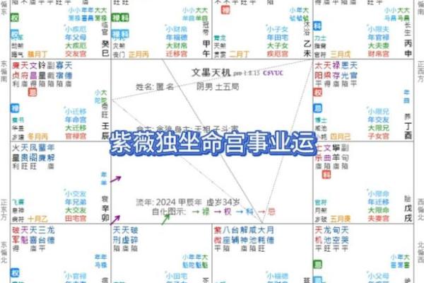 紫薇斗数的紫薇星