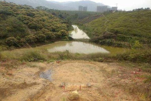 房子地下有池水风水好吗