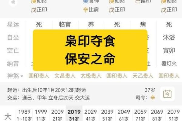 算命说有枭什么意思 命运如何
