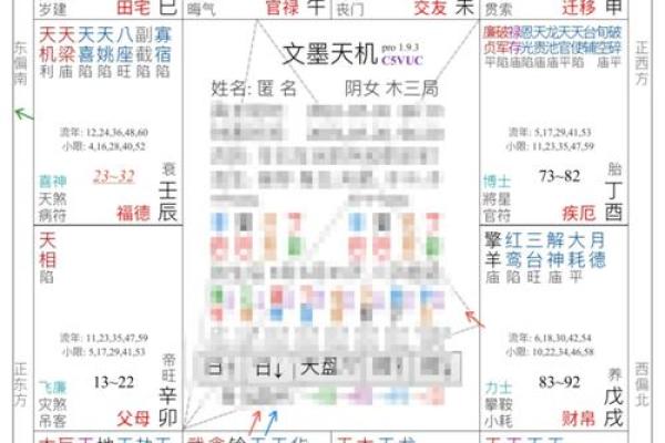 紫薇斗数综合详解