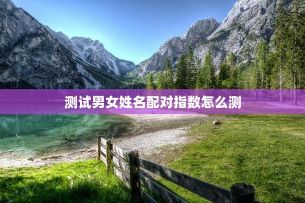 姓名配对测试自己皮肤 姓名配对测试自己皮肤的软件？