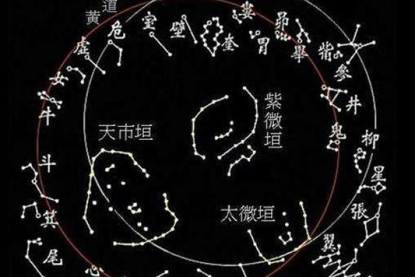 排紫薇斗数星盘