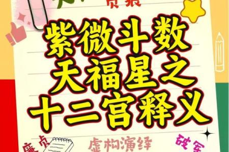 紫微斗数之疾厄宫与诸星，太阳星在疾病宫是什么意思？