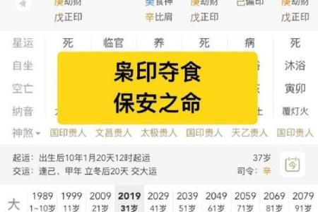 算命说有枭什么意思 命运如何