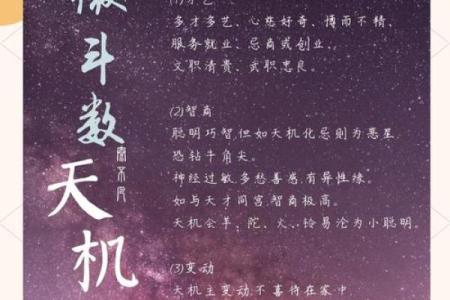 适合外地创业紫薇斗数