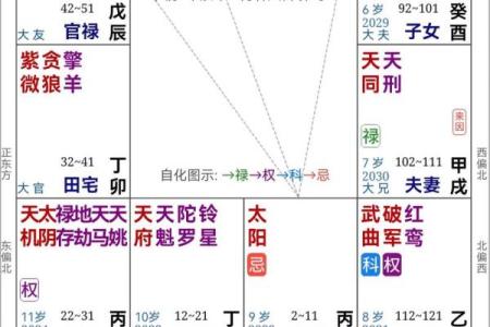 紫微斗数爱好 紫微斗数 性格？