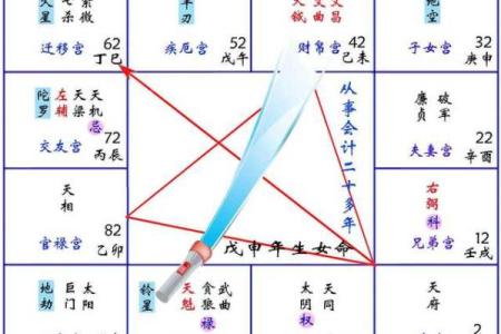 揭秘 紫微斗数VS八字：命理学中隐藏的惊人差异？