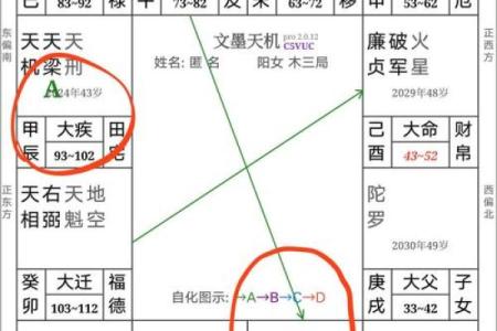 紫薇斗数宫位破