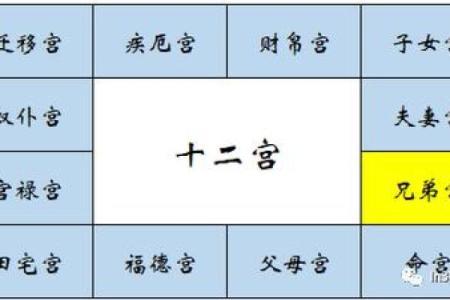 紫薇斗数看什么样的男女会结婚