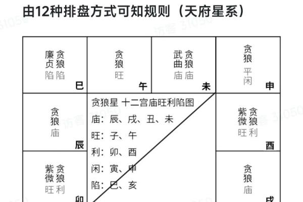 紫薇斗数精成国学