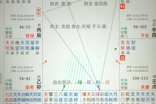 紫薇斗数紫薇星财锦