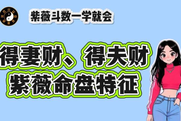 紫薇斗数紫薇星财锦