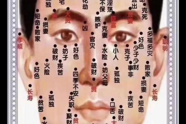 胸部痣相图解算命