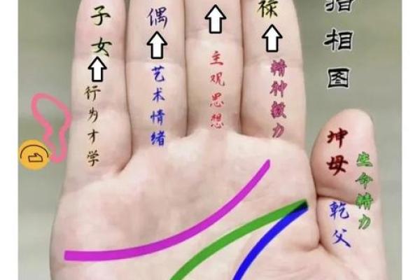 手相流年图算命——百发百中