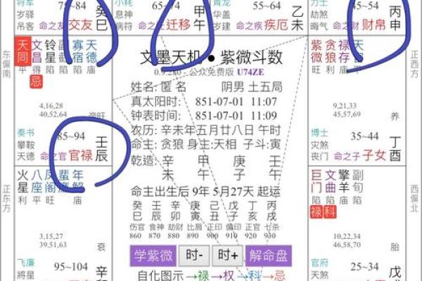 紫薇斗数破禄
