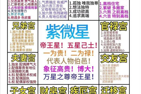紫薇斗数解释意思