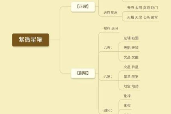 【紫微斗数】排盘技巧038：紫微斗数的未来发展