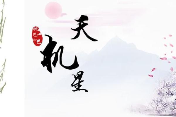 紫薇斗数看未来公公