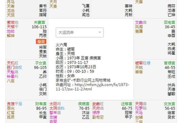 紫薇星七杀星在命宫