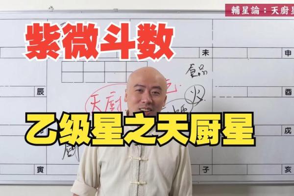 陈明业紫薇斗数