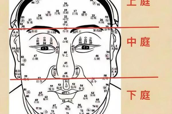 风水额头窄的男人是穷命