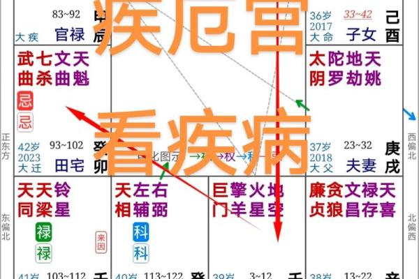 紫微斗数诸星落诸宫之,其它星疾厄宫详解 紫微斗数诸星落诸宫之,其它星疾厄宫详解