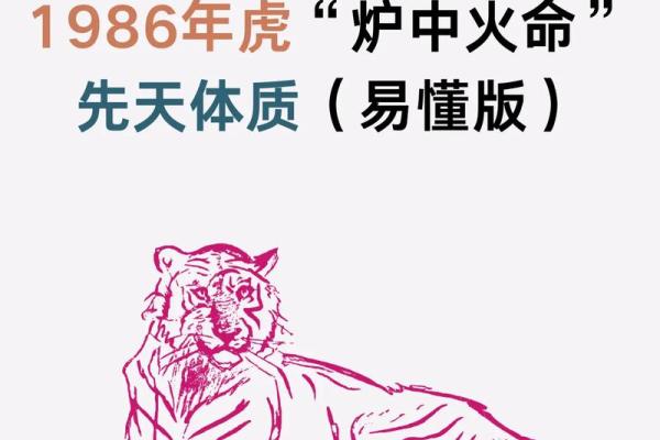 算命中火命最厉害的是哪种火
