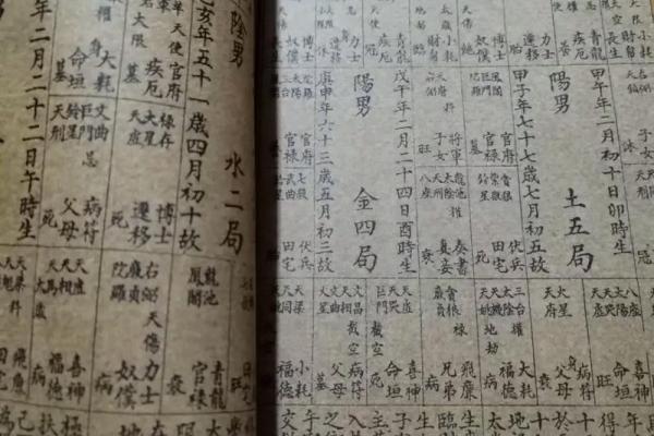 天空紫薇斗数