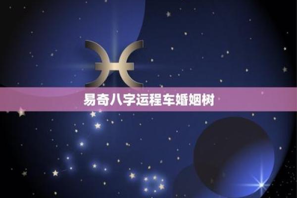 八字运程车测算：详解运势、婚姻、事业、财运等生肖运势