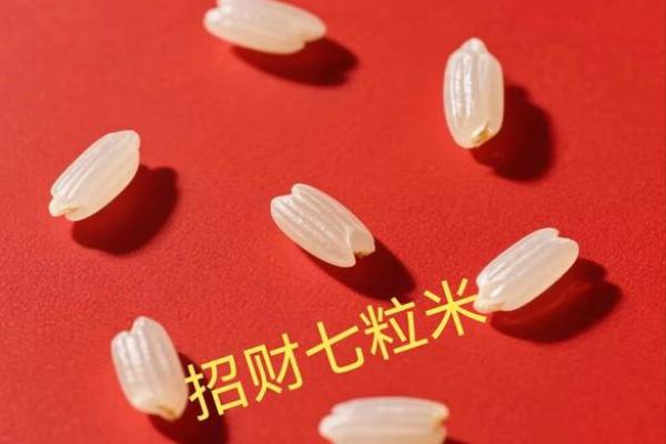 风水七粒米招财最灵的方法是什么意思