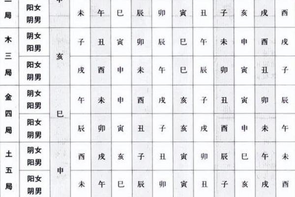美貌男紫薇斗数