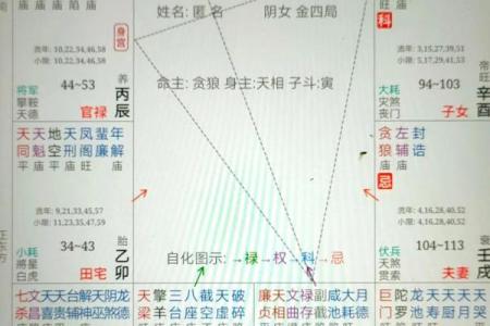 紫薇斗数紫薇星财锦