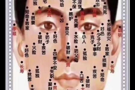 胸部痣相图解算命
