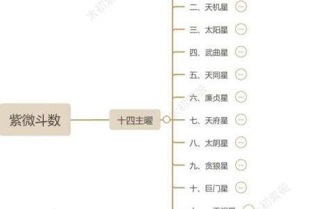 紫薇斗数要学多久