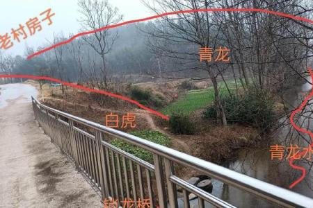风水水冲攻略：如何发挥其更大作用