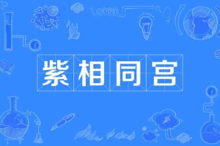 紫微斗数之交友宫与诸星，天相星在交友宫是什么意思？