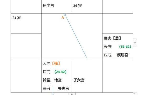 图解紫薇斗数禄忌