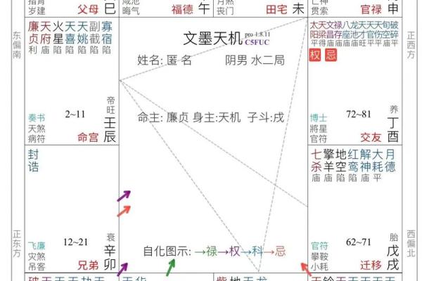 紫微斗数自由 紫微斗数论断？