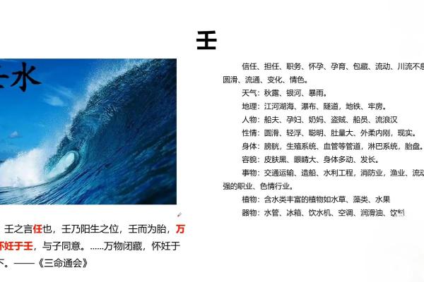 八字地支全是水的命理分析