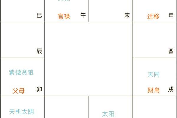 紫薇斗数不入格