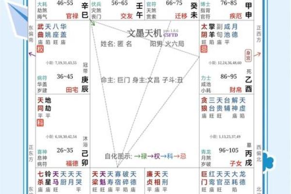 紫薇斗数免费合婚