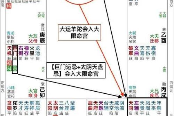 王亭之紫微斗数录音 免费查王亭之紫微斗数排盘？