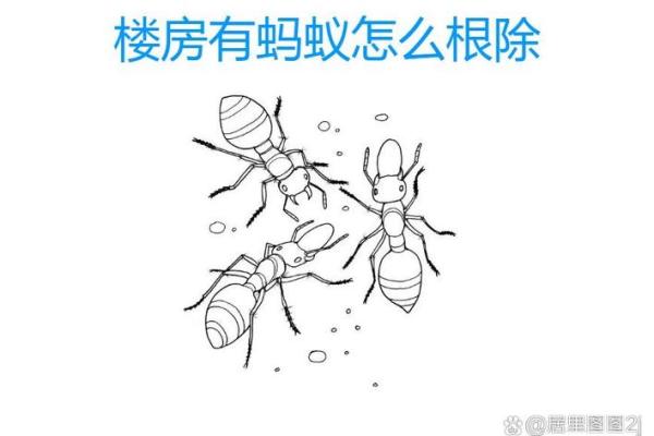 家里有蚂蚁风水上预示什么