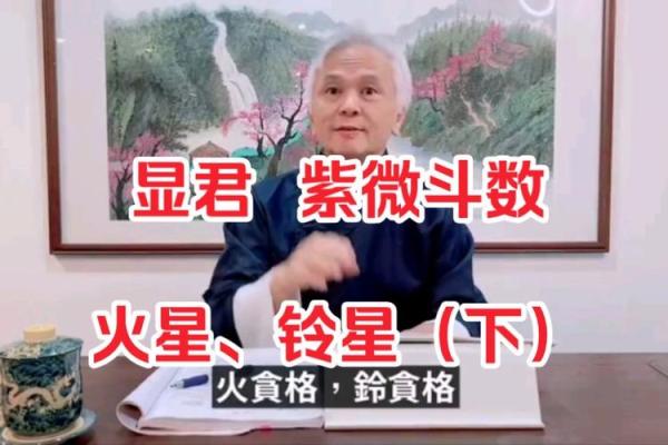 紫薇斗数大明火君