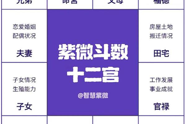 紫薇斗数看命运