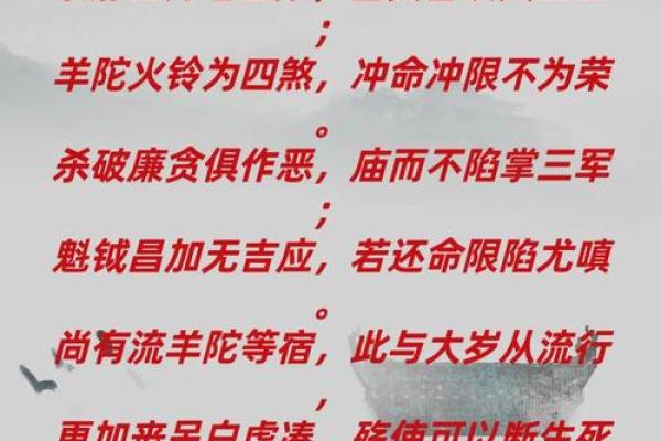 紫薇斗数看命运