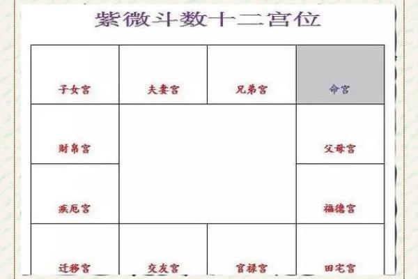 紫薇斗数与八字宫位