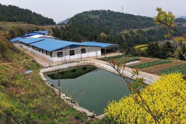 农村猪圈风水 农村猪圈风水布局