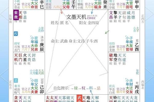 紫薇斗数变动的意思