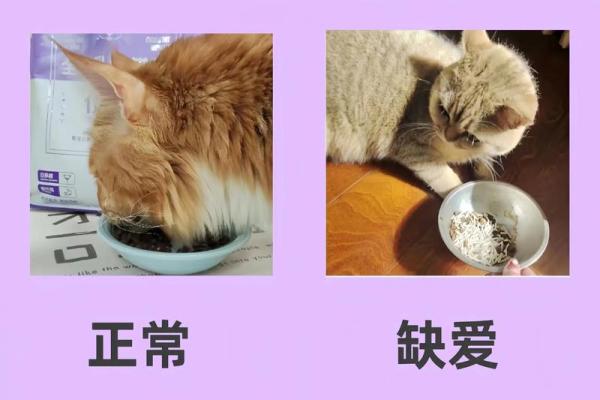 测你缺爱吗,测试缺爱吗